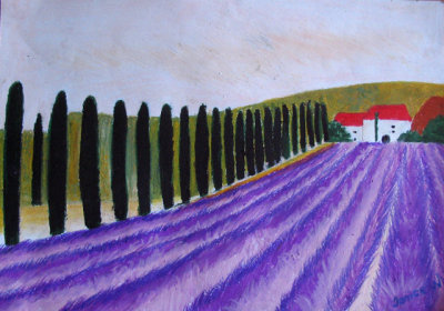 Lavender field, Janice, age:13
