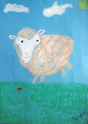 sheep, Yang Ling, age:6.5