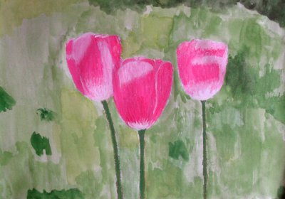 Tulips, Cindy, age:9