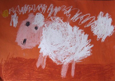 sheep, Amber, age:4