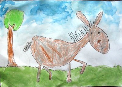 donkey, Thomas, age:5