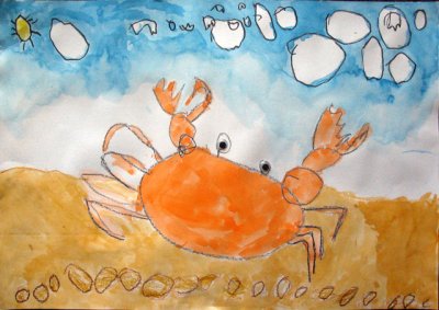 crab, Zoe, age:3.5