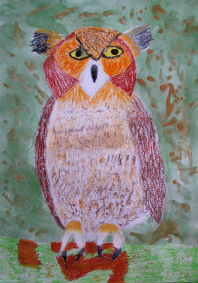 owl, Christina, age:6.5