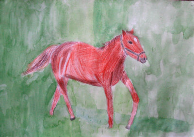 horse, Lucy Chen, age:7.5