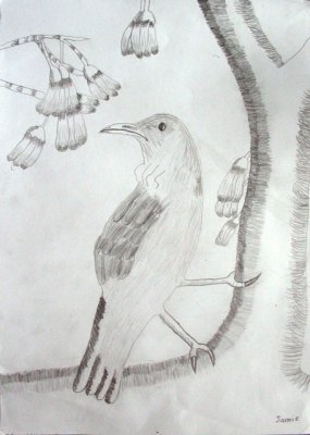 bird, Jamie Ma, age:8