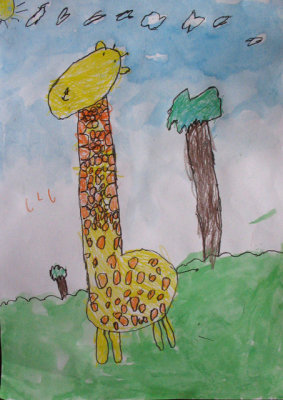 giraffe, Amber, age:4