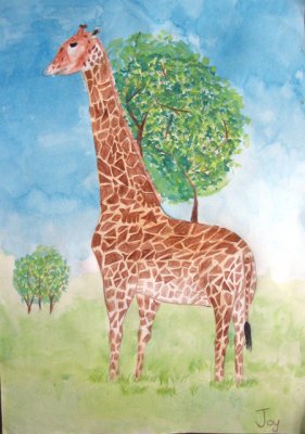 giraffe, Joy, age:8