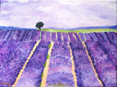 lavender field, Cindy, age:9