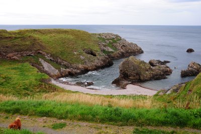 Coastal Walk at Portnockie 1785.JPG