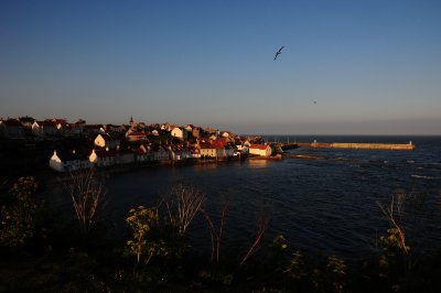 DSC_1188.JPG