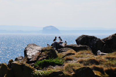 DSC_1247.JPG