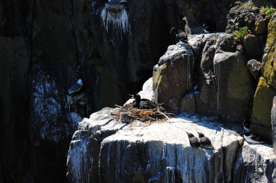 DSC_1253.JPG