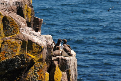 DSC_1258.JPG