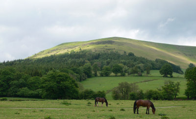 From Llanthony Abbey, Black Mountains