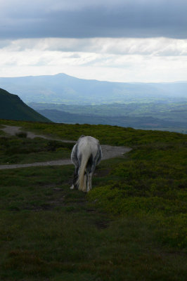 From Hay Bluff, Black Mountains