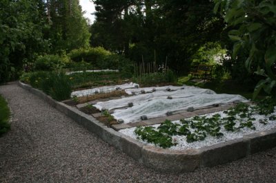 as IMG_4843.jpg