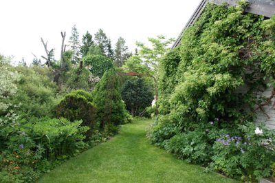 as IMG_4855.jpg