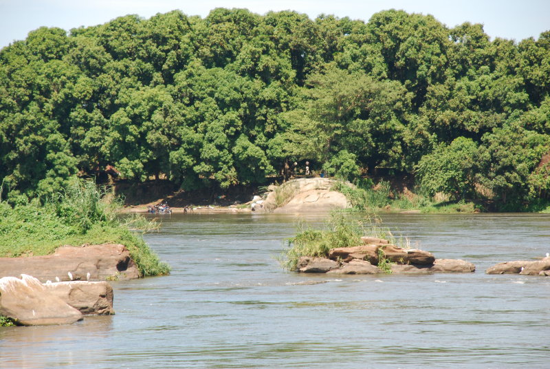 The White Nile