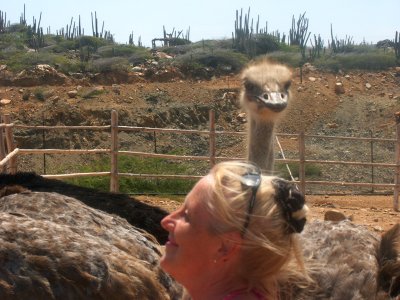 The ostrich is about to peck at my sun glasses 14.10.2003