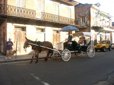 These horse and cart units are a huge tourist attraction throughout the city