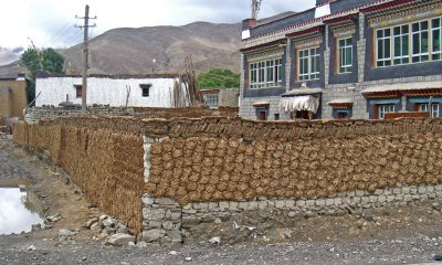 Yak dung deposited on the fence walls to dry - stored for winter heating