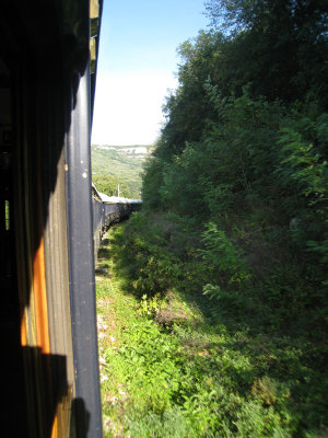 View from the train