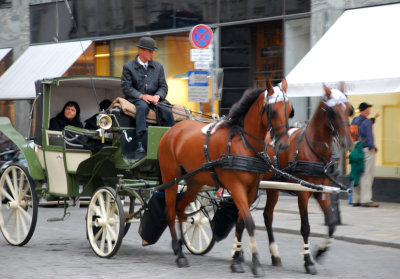 One of the many carriages in Vienna