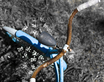 Old bicycle.jpg