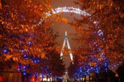 London Eye  autumn