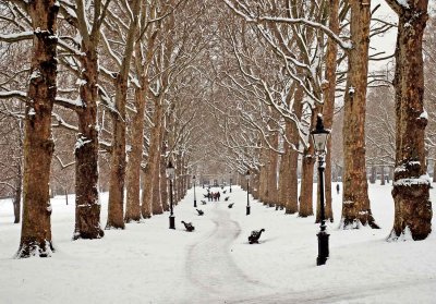 Green Park