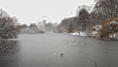  The lake in St James's Park