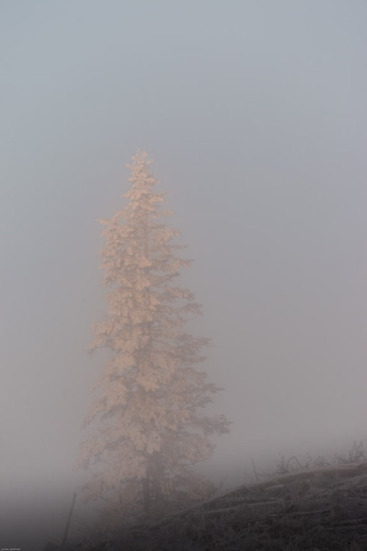 SUNRISE7