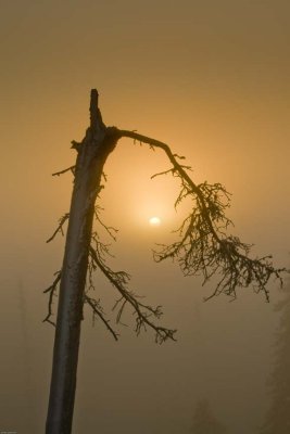 SUNRISE9