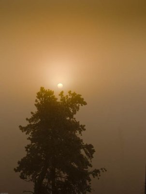 SUNRISE10