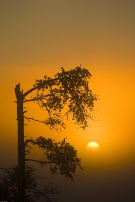 SUNRISE5