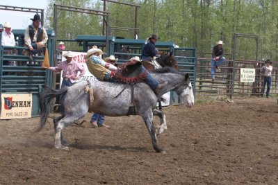 a_day_at_the_rawhide_rodeo