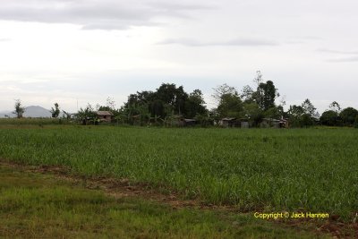 Settlement beside airstrip