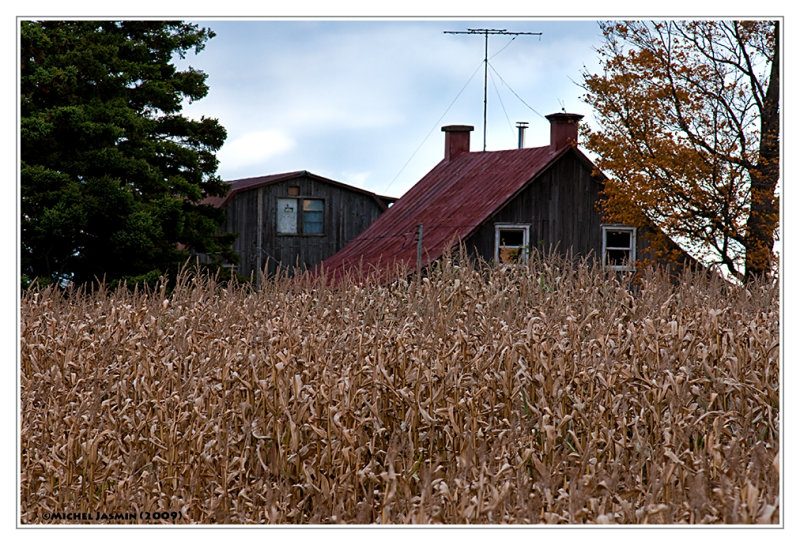 DSC_5656B.jpg