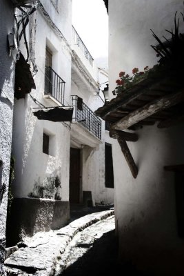 Alpujarra IV