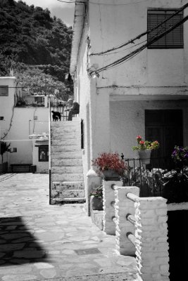 Alpujarra VI