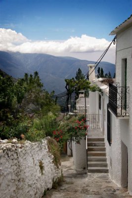 Alpujarra VIII