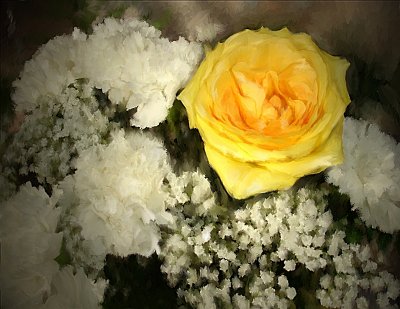 Yellow Rose Among White Carnations