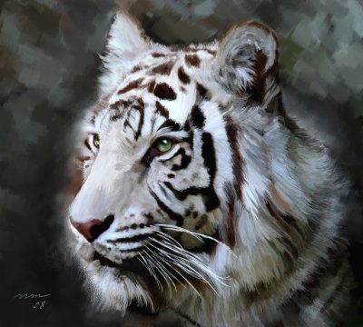 WhiteTiger