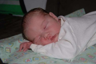 DSC_8117wtmk.jpg
