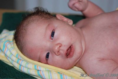 DSC_8131wtmk.jpg