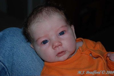 DSC_8152wtmk.jpg