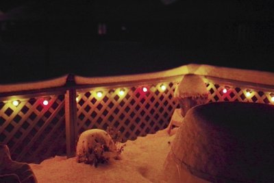 The snow catches the colors of the year round patio lights.