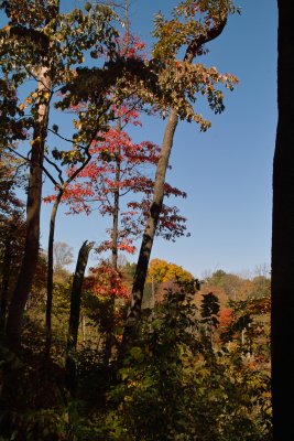 SDIM5722.jpg