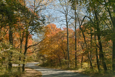SDIM5729.jpg