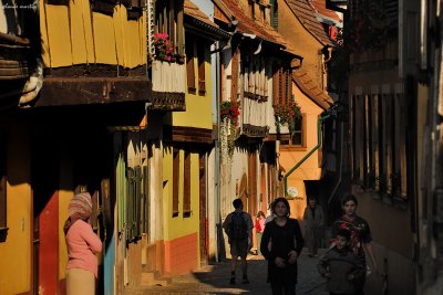 Summer Light in Alsace